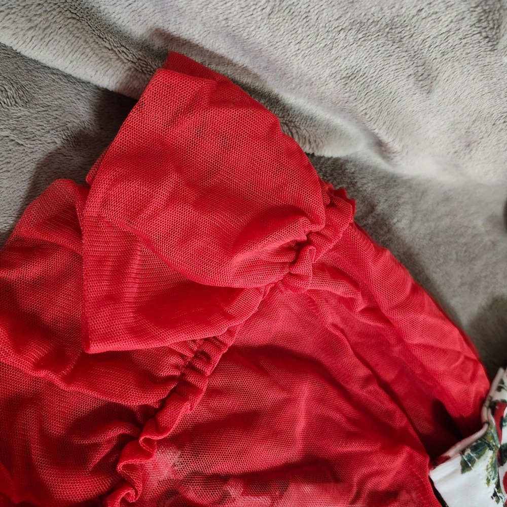 NEW Kate Quinn Little Cardinal Long Sleeve Ballerina Tulle Dress 12-18M Red - Picture 9 of 12